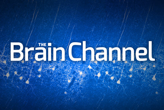 the brain channel logo with blue and white neurons in the background