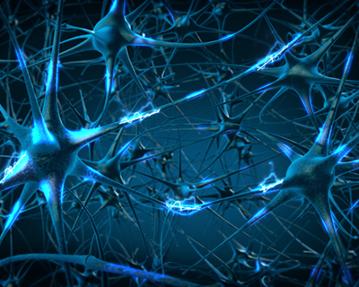 graphic cartoon image of several neurons