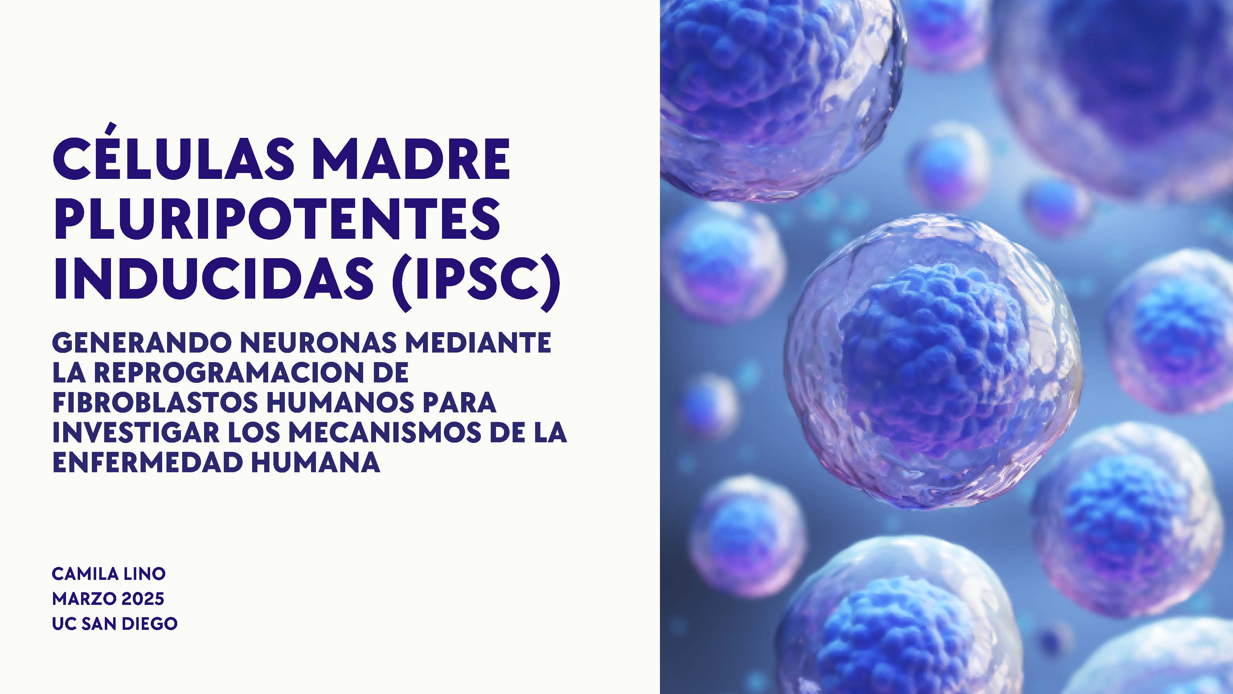 ipscpowerpointcoverslide