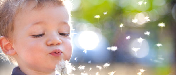 boy blowing dandelion