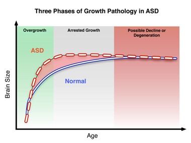 Three Phases of Growth Pathology in ASD