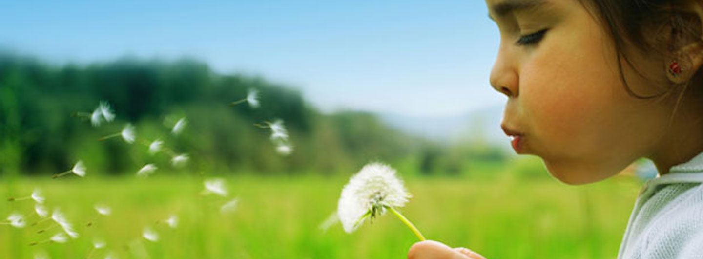 Little girl blowing on a dandelion in a green field