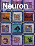 Neuron cover