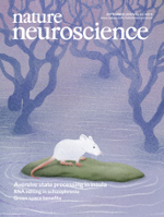 Nature Neuroscience cover