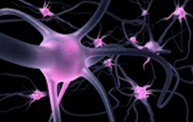 graphic of neurons in purple 