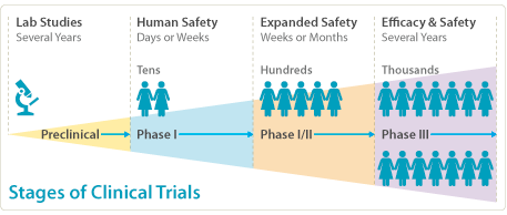 visual timeline of the stages of clinical trials