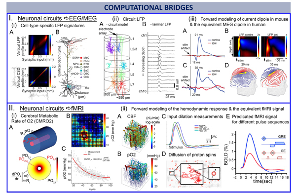 computational bridges graphic