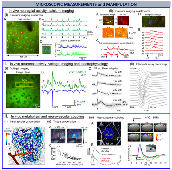 microscopic measurements and manipulation