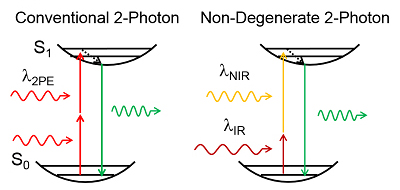 ns2pw diagram