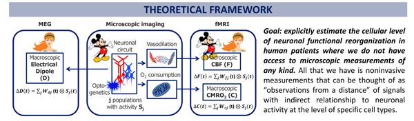 theoretical framework graphic